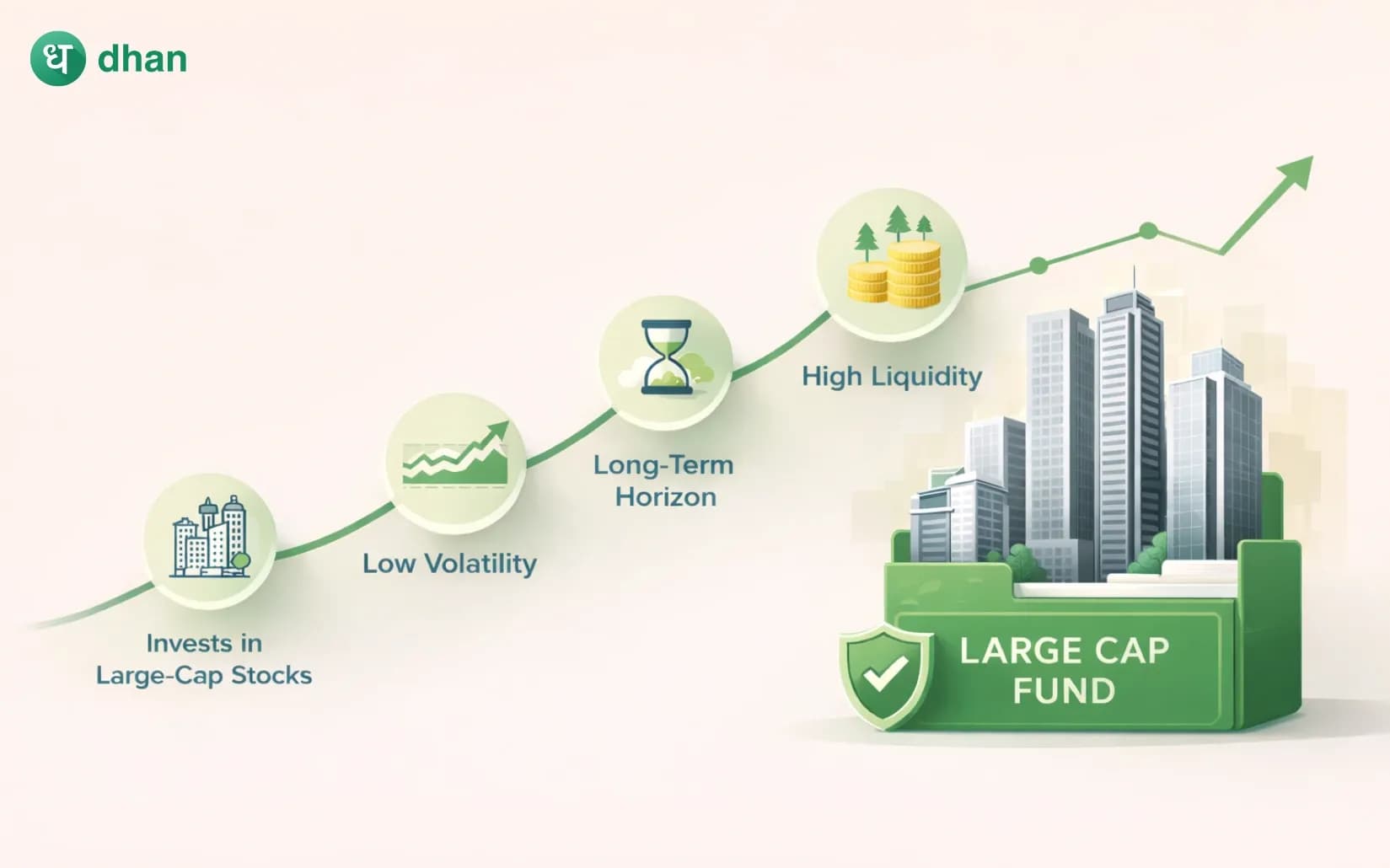 What are large cap mutual funds?